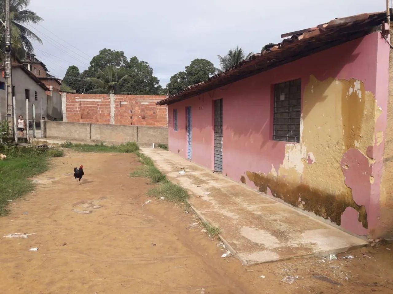 Terreno Grande com Casas - Foto 3