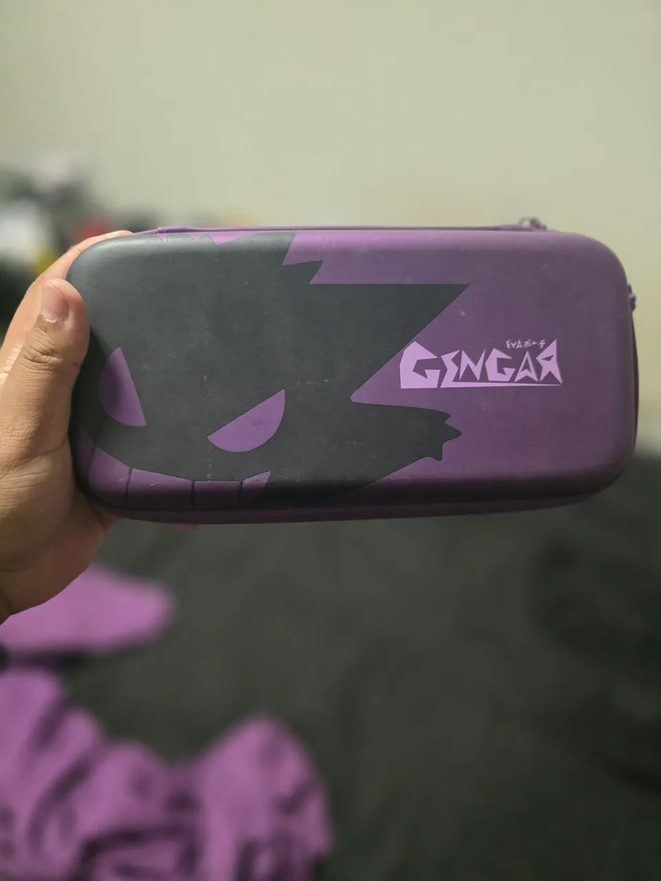 Caise Pokémon 