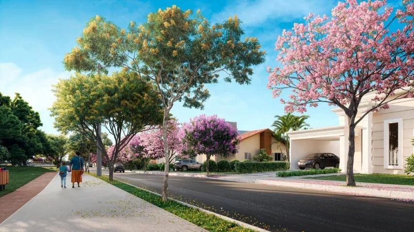 TERRENO RESIDENCIAL MORADA VERDE - Foto 2