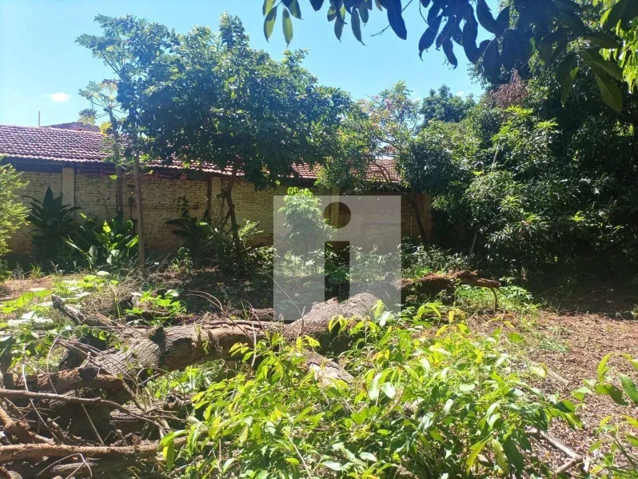 Área à venda região do Matão - Sumaré/SP - Foto 5