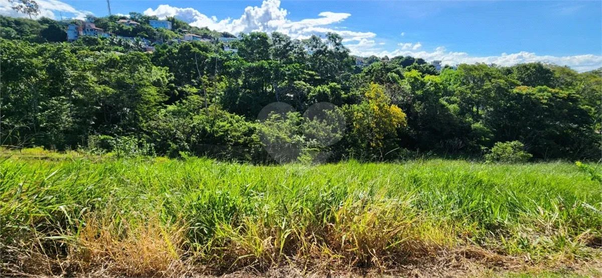 Terreno à venda em Perocão - ES - Foto 3