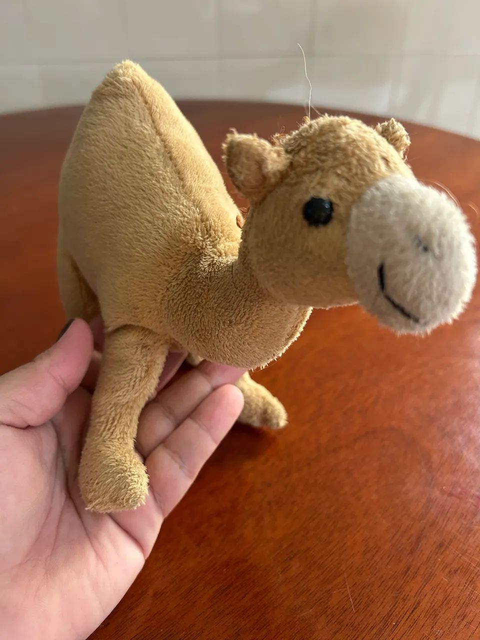 Camelinho de Dubai  - Foto 3