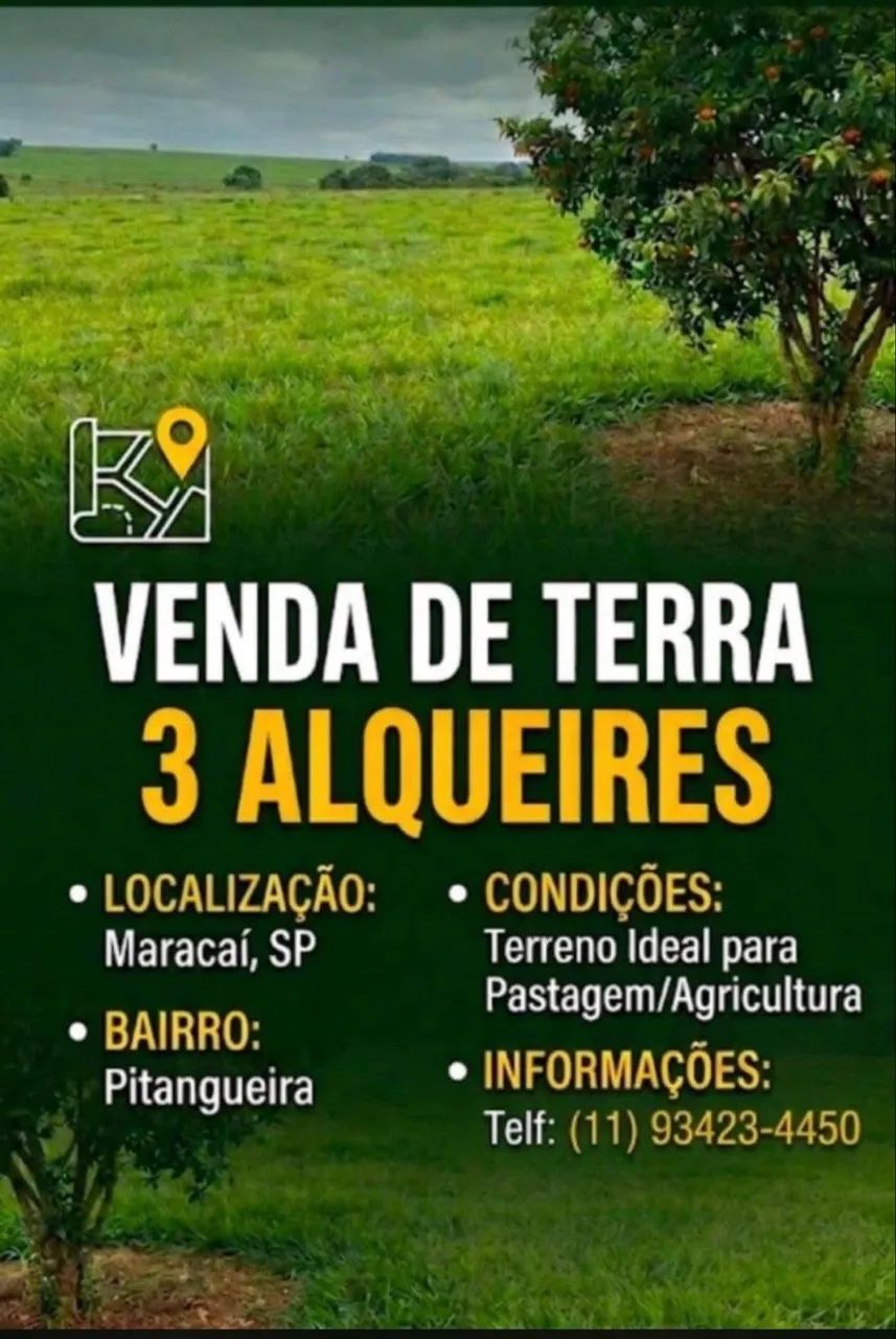 Venda de 3 alqueires  - Foto 2