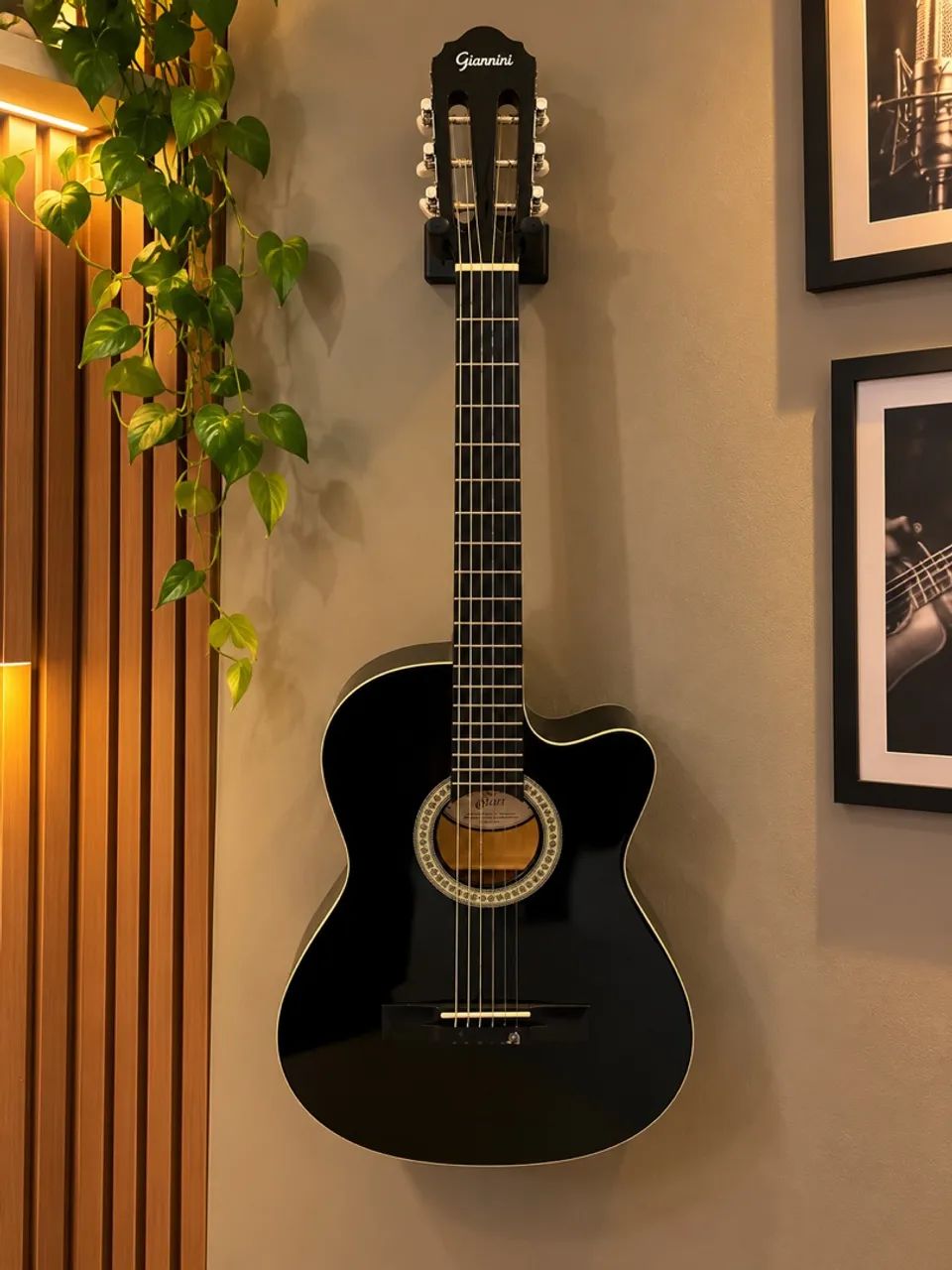 Violão tagima