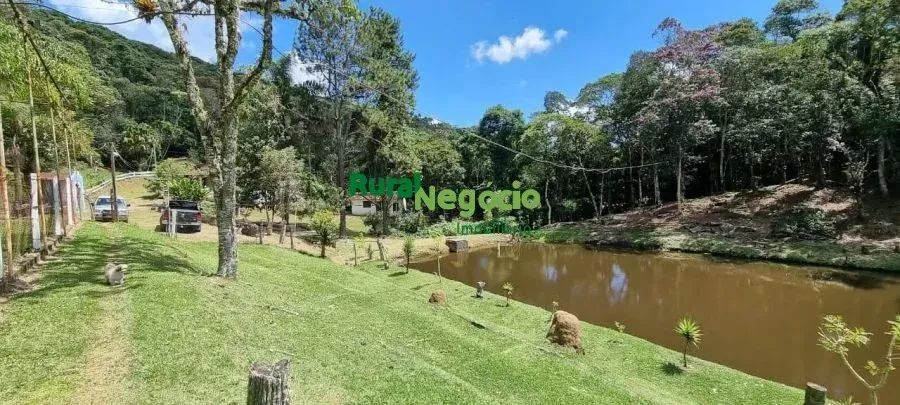 SÍTIO FORMADO COM LAGOS EM SALESÓPOLIS-SP - Foto 2