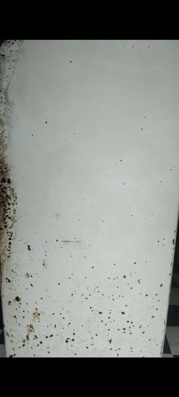 Geladeira - Foto 2
