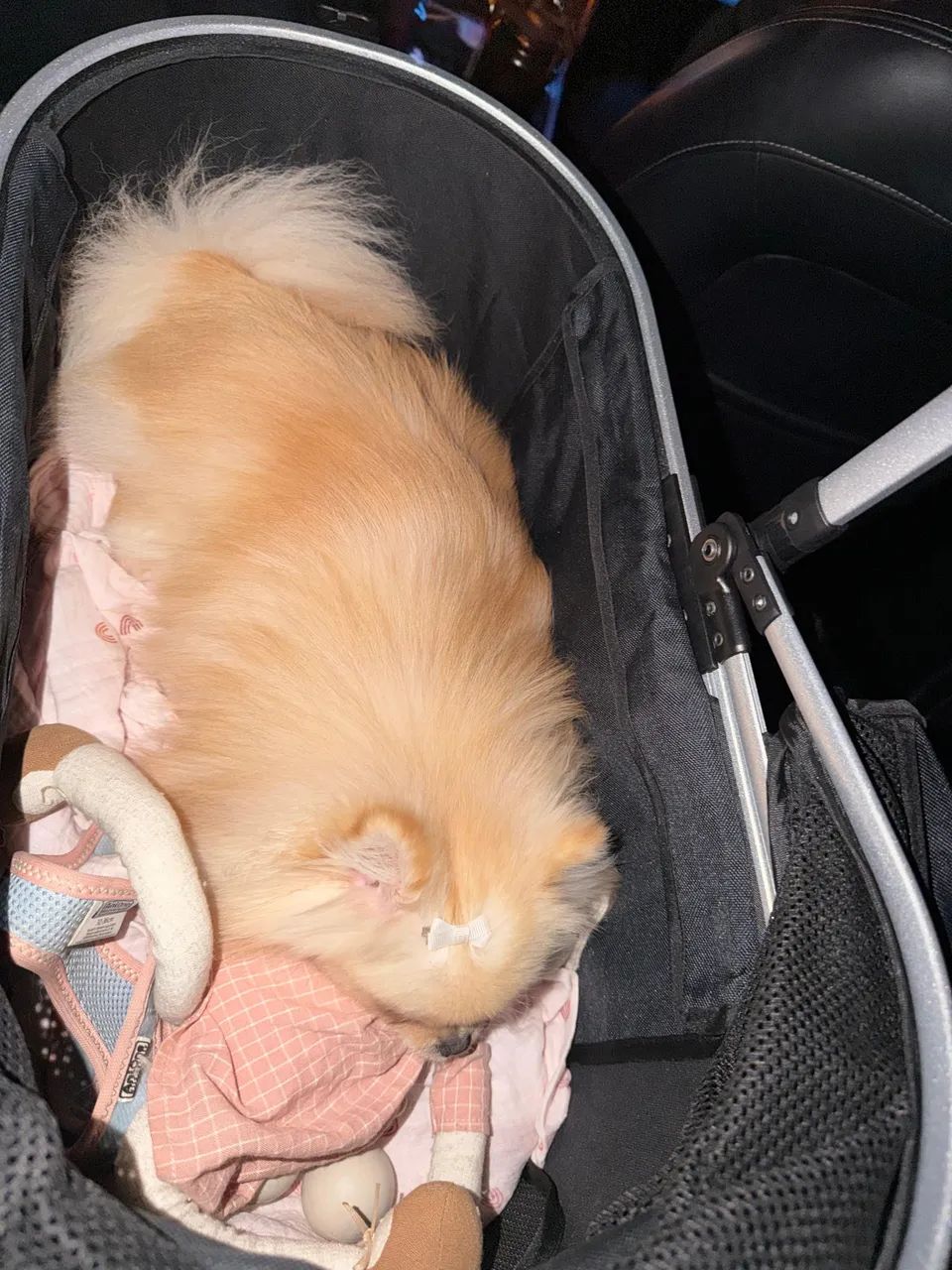 Carrinho para cachorro Bello - Foto 4