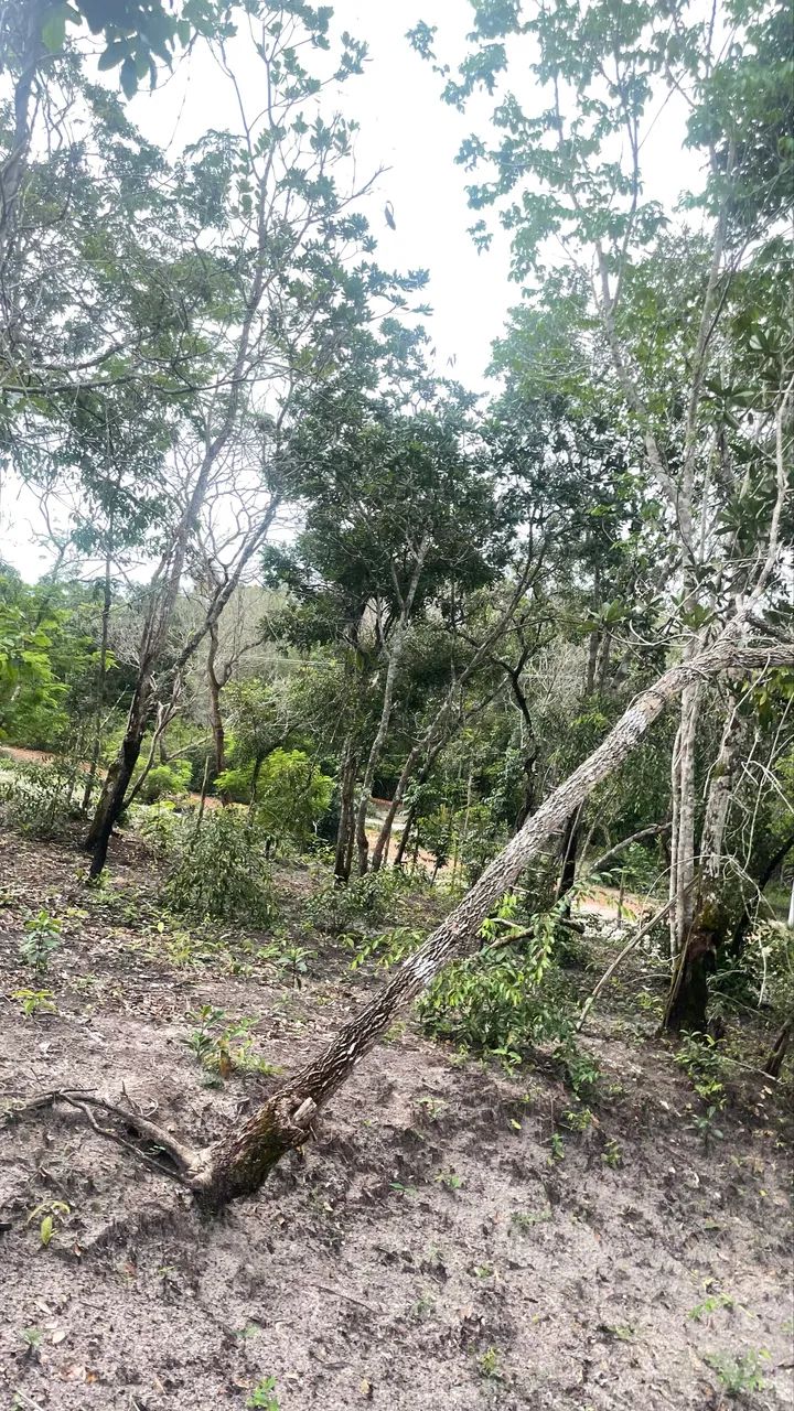 Lotes de 10m x 20m - Morros  - Foto 2