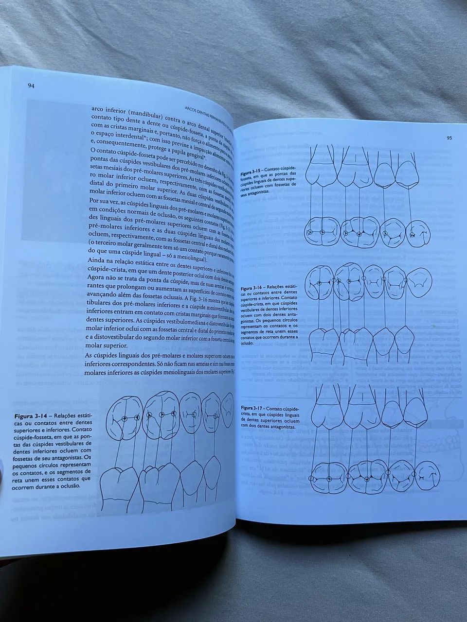 Livro Anatomia do Dente - Foto 3