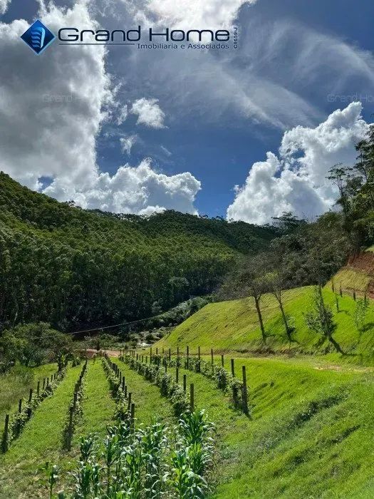 Fazenda em Centro - Foto 4