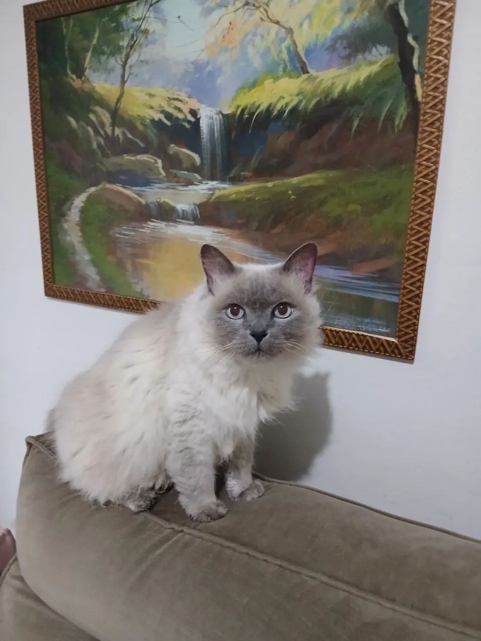 Doação 