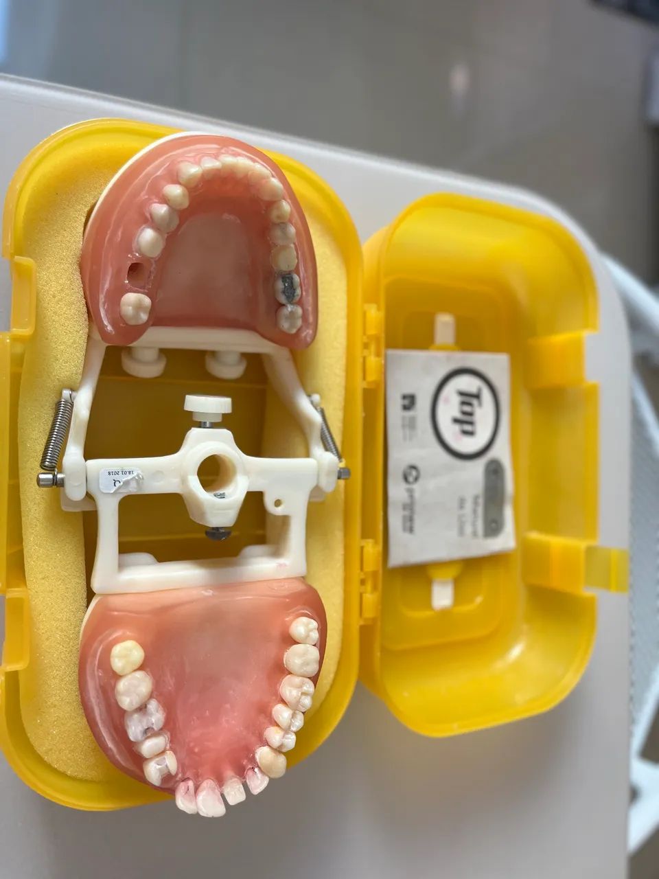 Manequim Dentistica Pronew - Foto 3