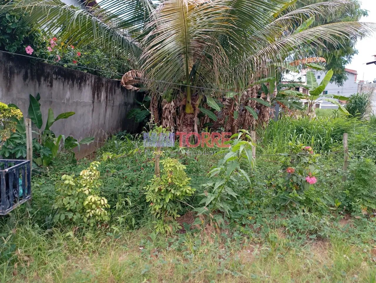 Lote à Venda, Olivença, Ilhéus, BA - Foto 4