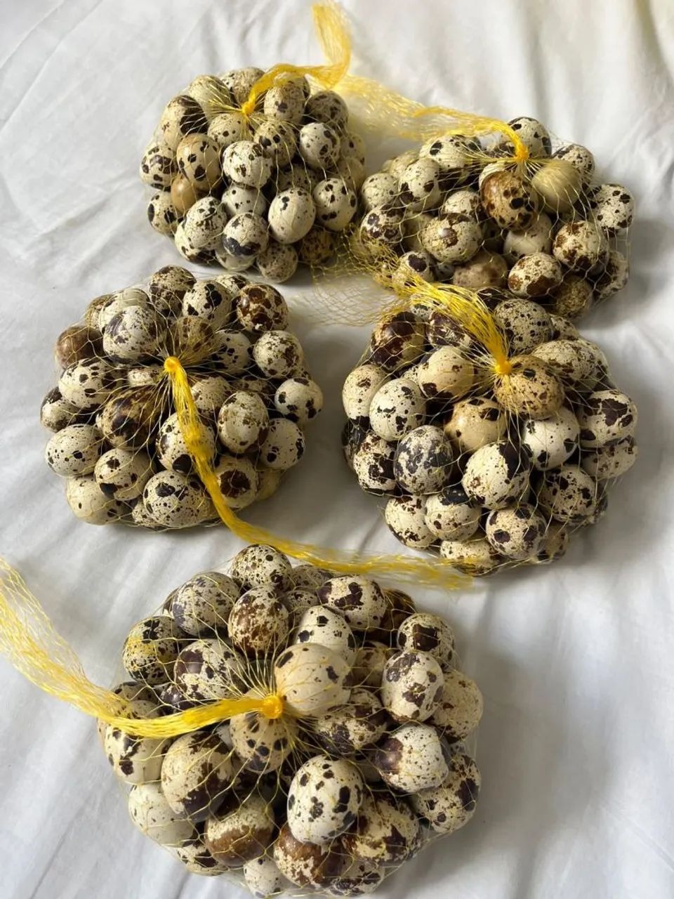 Ovos de codorna