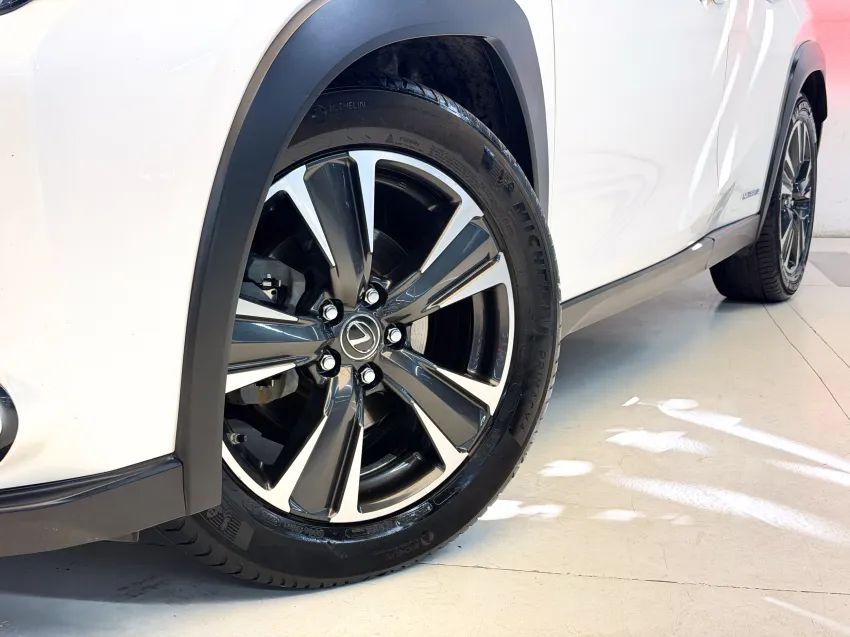 Lexus UX-250h Luxury 2.0 16V Aut.(hybrid), foto 2 de 19