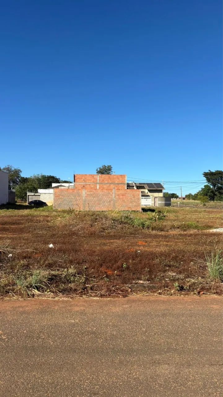 Vendo 5 lotes juntos na 1305 sul 