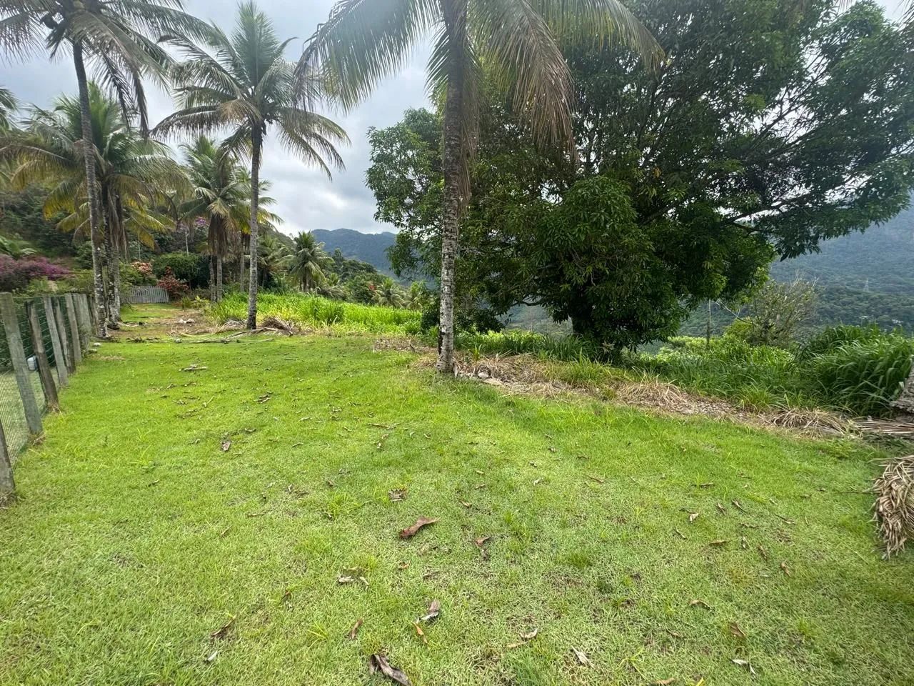 Vendo sítio em Domingos Martins - Foto 4