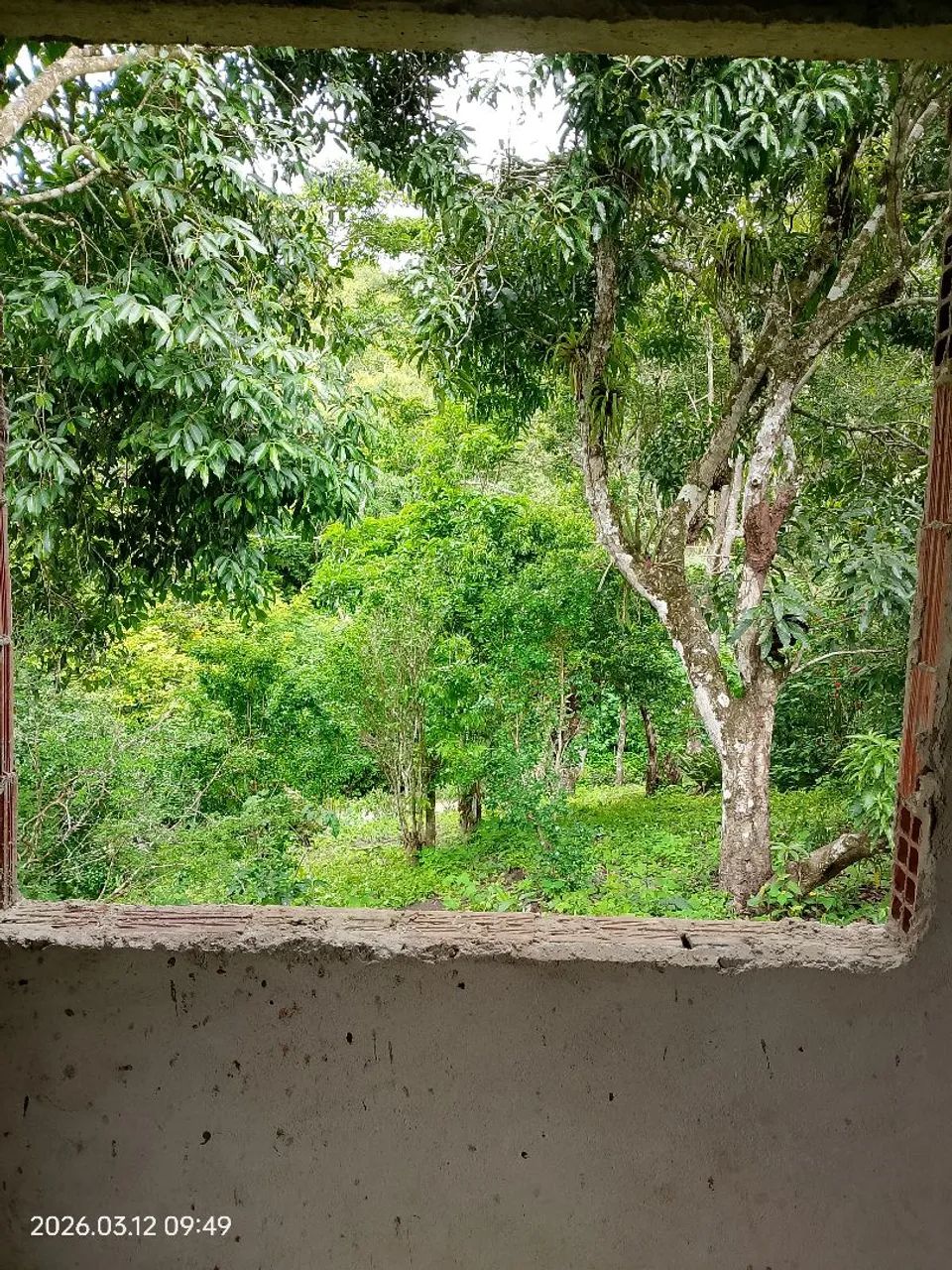 Vende-se  - Foto 3