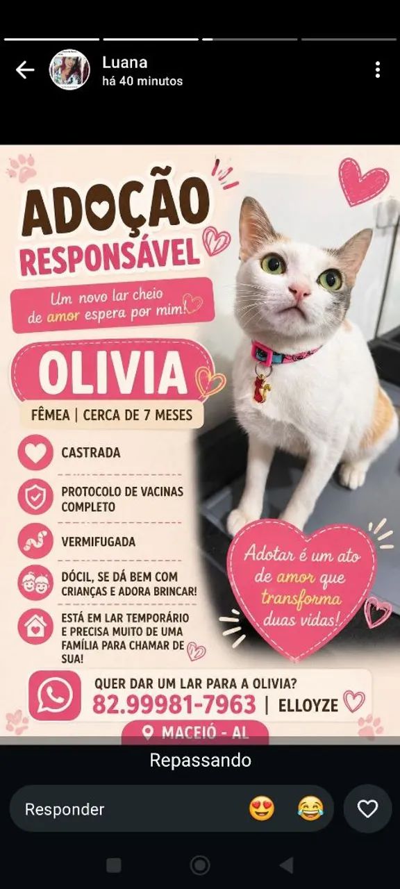 Adoção responsável  - Foto 3