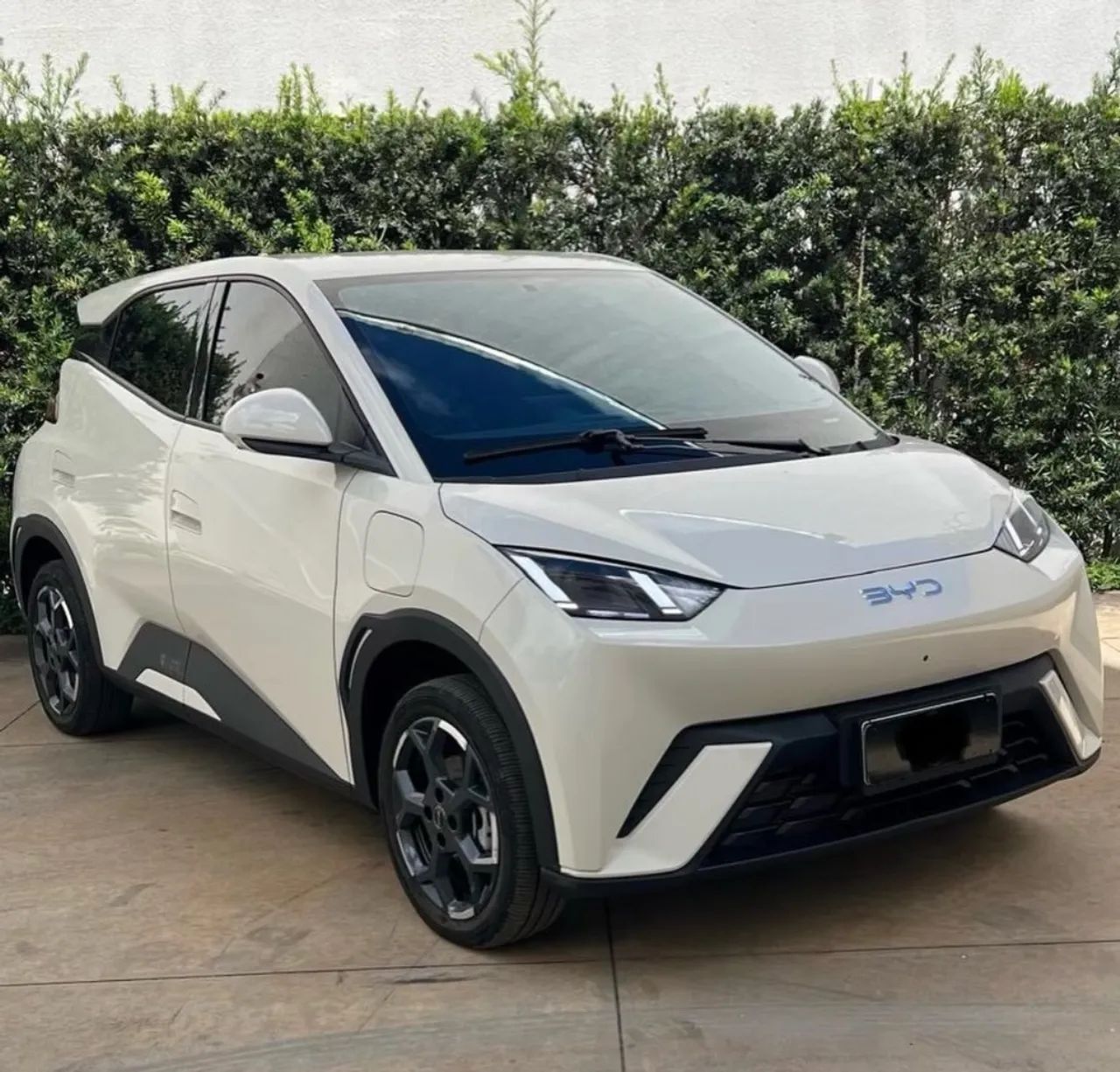 BYD Dolphin Mini (Elétrico) 2025 - Foto 3