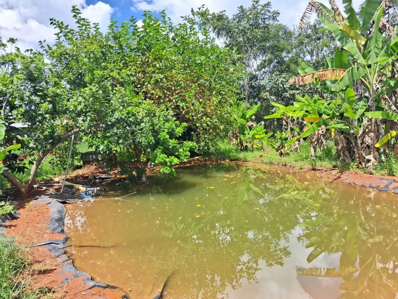 Chácara no Morumbi com 1 hectare - Foto 2