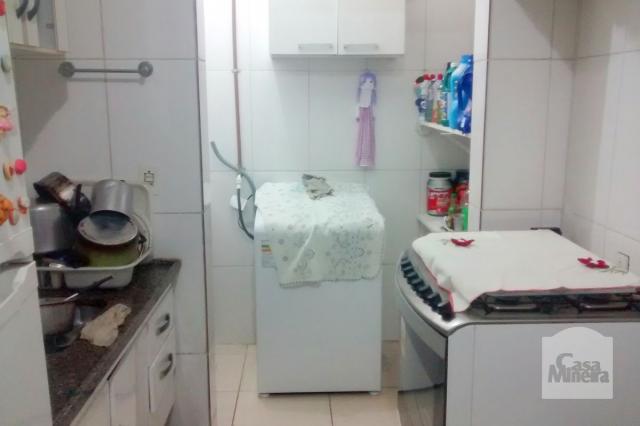 Casa à venda com 5 dormitórios em Caiçaras, Belo horizonte cod:208821 - Foto 8