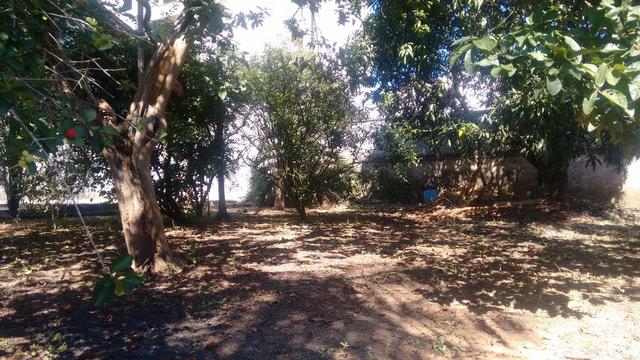 Terreno Excelente para Construção de Prédio ou Casa - Foto 4