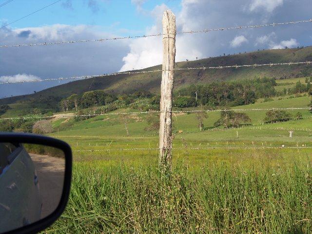 Fazenda com 700 Hectares em Barra de Guabiraba (Cód.: f20568) - Foto 11
