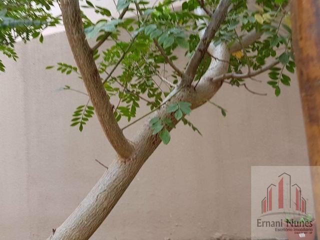 Linda Casa Rua 12 vazado p Estrutural Ernani Nunes - Foto 8