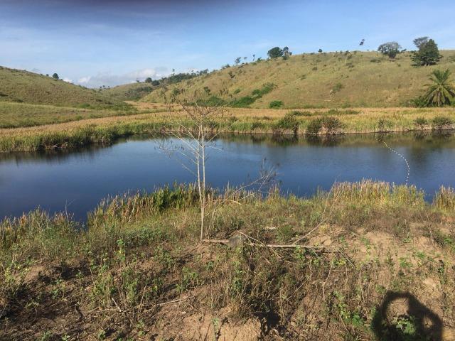 Fazenda em Itagimirim Sul da Bahia