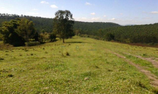 Sítio de 13,85 alq à venda em figueira-pr, si0001.