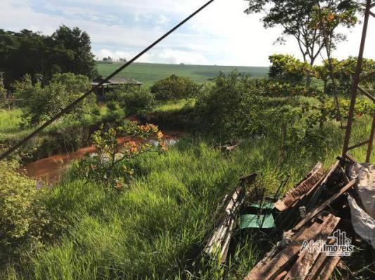 Linda chácara entre marialva e sarandi r$ 380.000 - chácara - marialva/pr - Foto 4