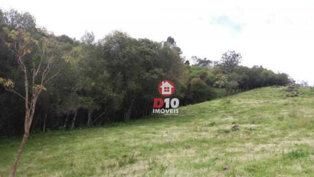 Chácara a venda, próximo ao monumento dos bertussi - r$ 85.000,00 - Foto 3
