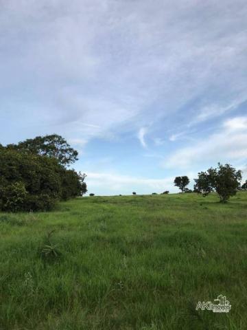 Fazenda à venda, 12640000 m² por R$ 12.500.000,00 - Zona Rural - Bom Jardim de Goiás/GO - Foto 6