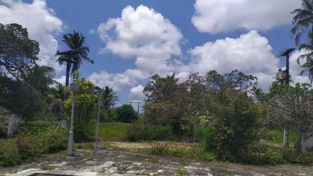 Vende-se excelente sitio em Igarassu, bem localizado - Foto 9