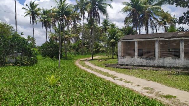 Vende-se excelente sitio em Igarassu, bem localizado - Foto 19