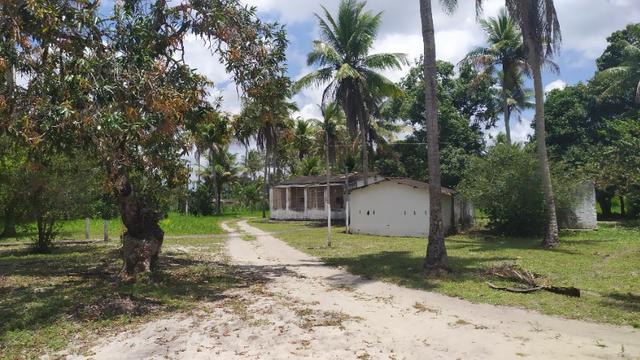 Vende-se excelente sitio em Igarassu, bem localizado - Foto 12