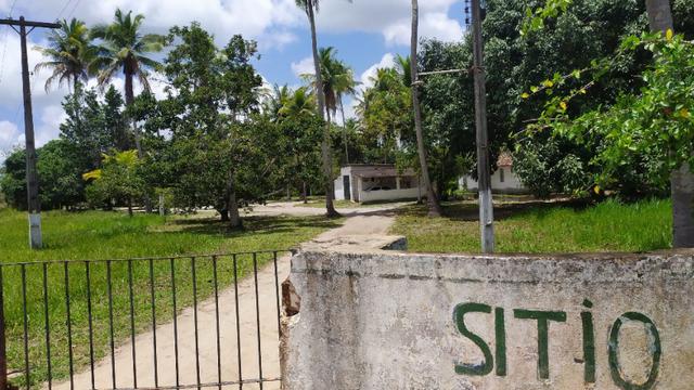 Vende-se excelente sitio em Igarassu, bem localizado - Foto 5