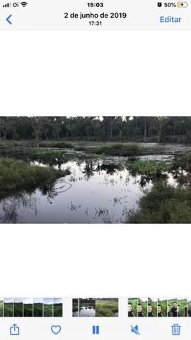 Fazenda 90 hectares