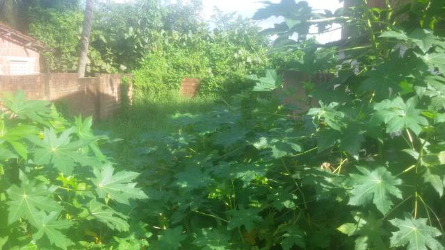 Terreno - Foto 3
