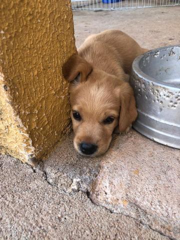 Vendo - Foto 6