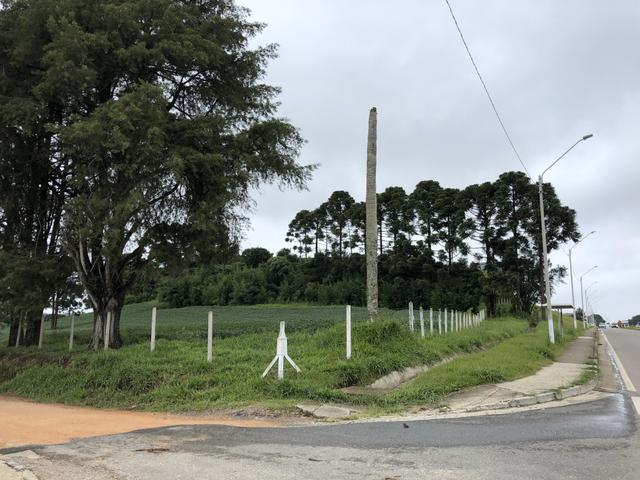 Terreno Industrial São José dos Pinhais Br 376 - Foto 4