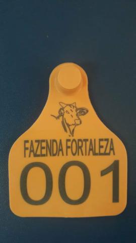 Brincos personalizados bovinos - Foto 3