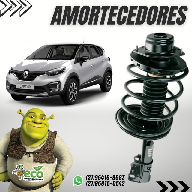 Amortecedores Ecológicos Renault -compre direto da fábrica