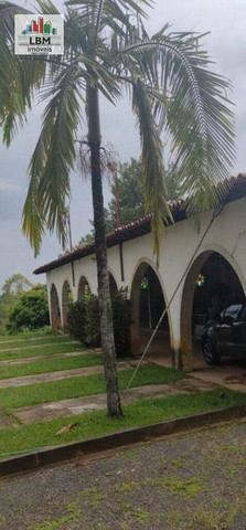 SITIO - PEDREIRA - 60500M² - Foto 2