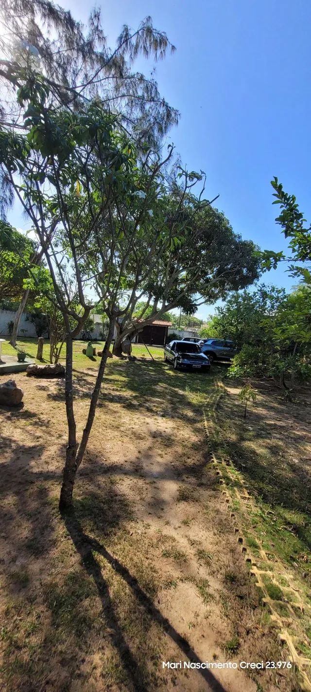 Vendo Sítio em Barra de Jacuípe  - Foto 3