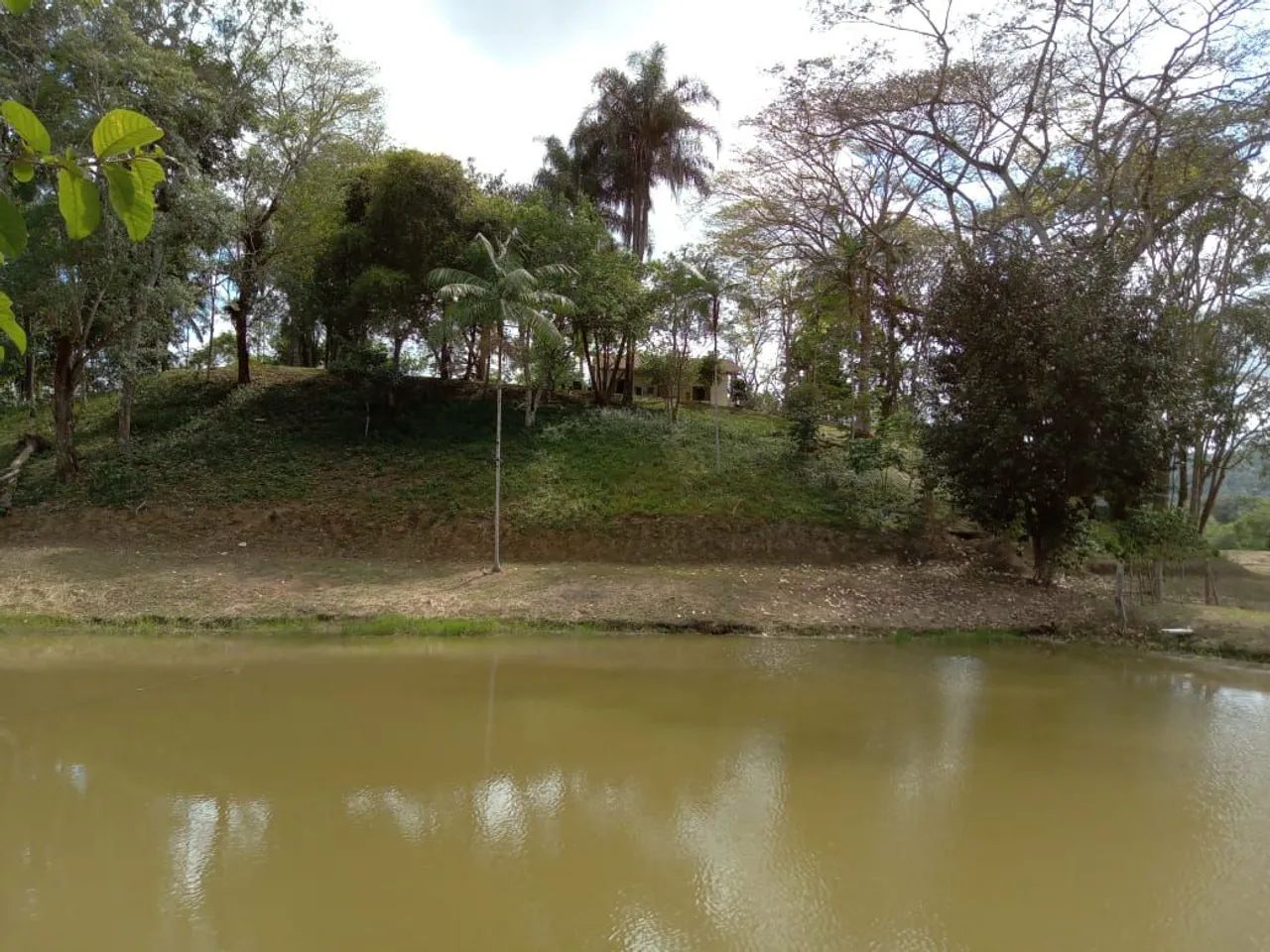 Sítio 5 alqueires com lagos Miracatú-SP  - Foto 3