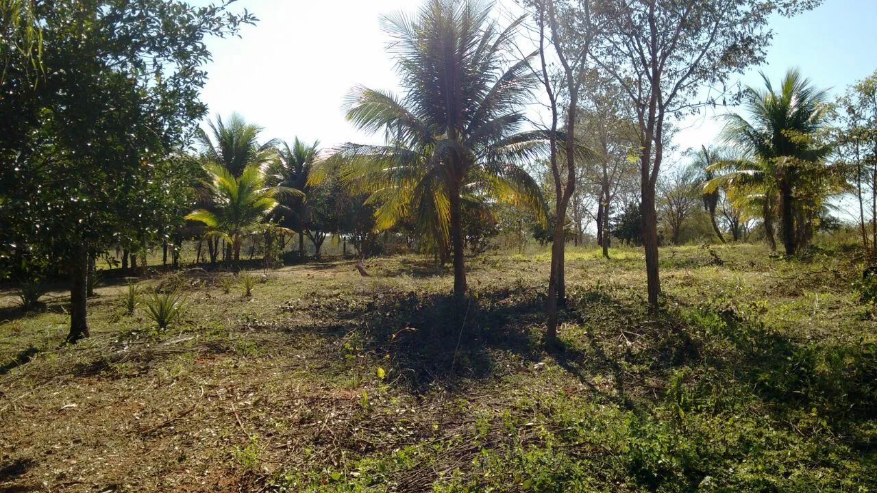 Vendo uma linda chácara no Rio Cachoeirão MS - Foto 4