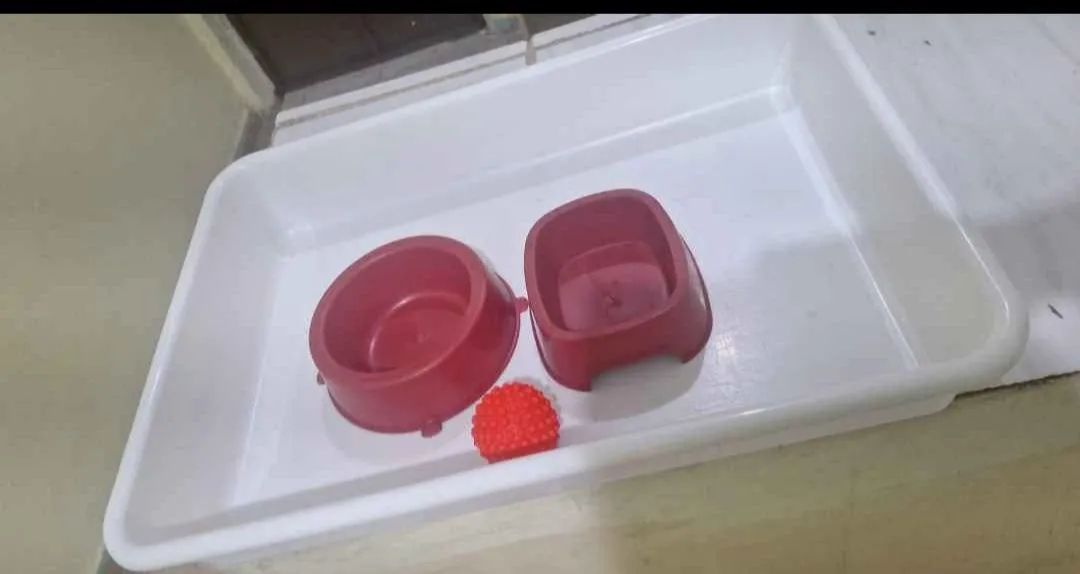 Caixinha de areia,mas uma bola,potinhos vendo tudo por 50