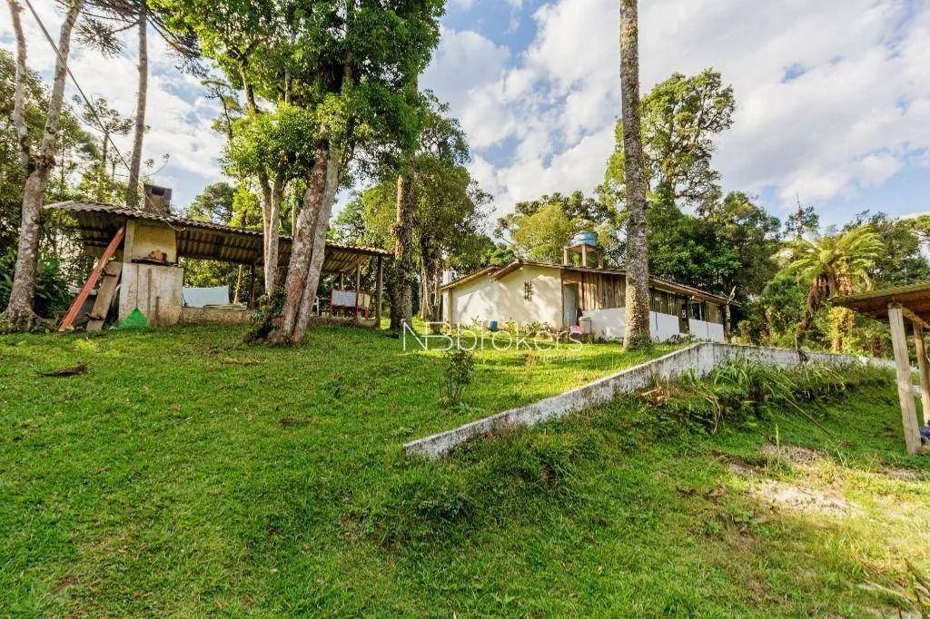 Chácara com 3 dormitórios à venda, 20000 m² por R$ 800.000,00 - Área Rural de São José dos - Foto 10